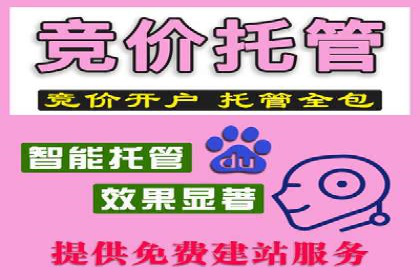 行业领先企业的网站sem托管实践